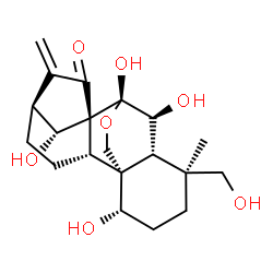 ChemSpider 2D Image | (1alpha,5beta,6beta,7alpha,8alpha,9beta,10alpha,13alpha,14R)-1,6,7,14,19-Pentahydroxy-7,20-epoxykaur-16-en-15-one | C20H28O7