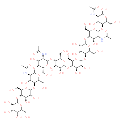 ChemSpider 2D Image | D-Galactopyranosyl-(1->4)-D-galactopyranosyl-(1->4)-2-acetamido-2-deoxy-D-glucopyranosyl-(1->4)-2-acetamido-2-deoxy-D-glucopyranosyl-(1->4)-D-mannopyranosyl-(1->4)-D-mannopyranosyl-(1->4)-D-mannopyran
osyl-(1->4)-2-acetamido-2-deoxy-D-glucopyranosyl-(1->4)-2-acetamido-2-deoxy-D-glucopyranose | C62H104N4O46