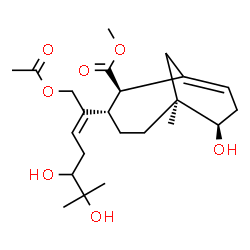 ChemSpider 2D Image | Methyl (2R,3S,6S,7R)-3-[(2E)-1-acetoxy-5,6-dihydroxy-6-methyl-2-hepten-2-yl]-7-hydroxy-6-methylbicyclo[4.3.1]dec-1(9)-ene-2-carboxylate | C23H36O7