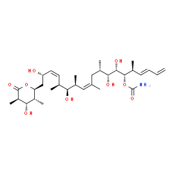 ChemSpider 2D Image | (3E,5S,6S,7S,8R,9S,11Z,13S,14S,15S,16Z,18S)-7,8,14,18-Tetrahydroxy-19-[(2S,3R,4S,5R)-4-hydroxy-3,5-dimethyl-6-oxotetrahydro-2H-pyran-2-yl]-5,9,11,13,15-pentamethyl-1,3,11,16-nonadecatetraen-6-yl carba
mate (non-preferred name) | C32H53NO9