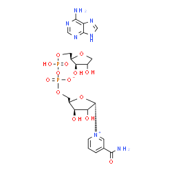 ChemSpider 2D Image | [(2R,3R,5S)-5-(3-carbamoylpyridin-1-ium-1-yl)-3,4-dihydroxy-tetrahydrofuran-2-yl]methyl [[(2R,3R)-3,4-dihydroxytetrahydrofuran-2-yl]methoxy-hydroxy-phosphoryl] phosphate;9H-purin-6-amine | C21H29N7O14P2