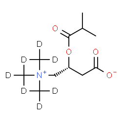ChemSpider 2D Image | (3R)-3-(Isobutyryloxy)-4-{tris[(~2~H_3_)methyl]ammonio}butanoate | C11H12D9NO4