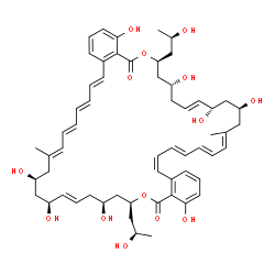 ChemSpider 2D Image | (7S,9R,11E,13S,15S,17E,19E,21E,23Z,31S,33S,35E,37S,39S,41E,43E,45E,47E)-4,9,13,15,28,33,37,39-Octahydroxy-7,31-bis[(2R)-2-hydroxypropyl]-17,41-dimethyl-7,8,9,10,13,14,15,16,31,32,33,34,37,38,39,40-hex
adecahydro-5H,29H-dibenzo[c,y][1,23]dioxacyclotetratetracontine-5,29-dione | C58H76O14