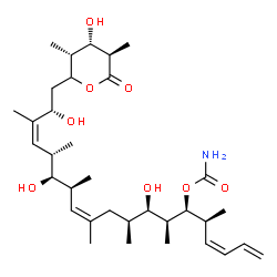 ChemSpider 2D Image | (3Z,5S,6S,7S,8R,9S,11Z,13S,14R,15S,16Z,18S)-8,14,18-Trihydroxy-19-[(3R,4S,5R)-4-hydroxy-3,5-dimethyl-6-oxotetrahydro-2H-pyran-2-yl]-5,7,9,11,13,15,17-heptamethyl-1,3,11,16-nonadecatetraen-6-yl carbama
te | C34H57NO8