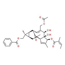 ChemSpider 2D Image | [(1S,4S,5S,6R,9S,10R,11R,12R)-7-(Acetoxymethyl)-5,6-dihydroxy-3,11,14-trimethyl-4-{[(2Z)-2-methyl-2-butenoyl]oxy}-15-oxotetracyclo[7.5.1.0~1,5~.0~10,12~]pentadeca-2,7-dien-11-yl]methyl benzoate | C34H40O9