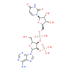 ChemSpider 2D Image | (2R,3R,4R,5R)-2-(6-Amino-9H-purin-9-yl)-4-{[{[(2R,3S,4R,5R)-5-(2,4-dioxo-3,4-dihydro-1(2H)-pyrimidinyl)-3,4-dihydroxytetrahydro-2-furanyl]methoxy}(hydroxy)phosphoryl]oxy}-5-(hydroxymethyl)tetrahydro-3
-furanyl dihydrogen phosphate | C19H25N7O15P2