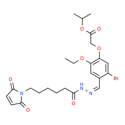 ChemSpider 2D Image | Isopropyl {5-bromo-4-[(Z)-{[6-(2,5-dioxo-2,5-dihydro-1H-pyrrol-1-yl)hexanoyl]hydrazono}methyl]-2-ethoxyphenoxy}acetate | C24H30BrN3O7
