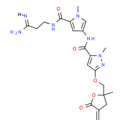 ChemSpider 2D Image | N-(5-{[(3Z)-3-Amino-3-iminopropyl]carbamoyl}-1-methyl-1H-pyrrol-3-yl)-1-methyl-3-[(2-methyl-4-methylene-5-oxotetrahydro-2-furanyl)methoxy]-1H-pyrazole-5-carboxamide | C21H27N7O5