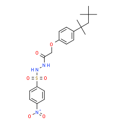 ChemSpider 2D Image | N'-[(4-Nitrophenyl)sulfonyl]-2-[4-(2,4,4-trimethyl-2-pentanyl)phenoxy]acetohydrazide | C22H29N3O6S