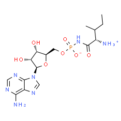 ChemSpider 2D Image | 5'-O-({[(2S)-2-Ammonio-3-methylpentanoyl]amino}phosphinato)adenosine | C16H26N7O7P