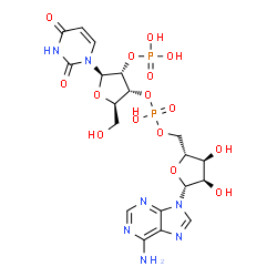 ChemSpider 2D Image | (2R,3R,4R,5R)-4-{[{[(2R,3S,4R,5R)-5-(6-Amino-9H-purin-9-yl)-3,4-dihydroxytetrahydro-2-furanyl]methoxy}(hydroxy)phosphoryl]oxy}-2-(2,4-dioxo-3,4-dihydro-1(2H)-pyrimidinyl)-5-(hydroxymethyl)tetrahydro-3
-furanyl dihydrogen phosphate | C19H25N7O15P2