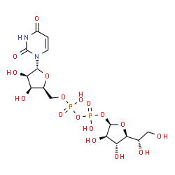 ChemSpider 2D Image | (2R,3R,4R,5S)-5-[(1S)-1,2-Dihydroxyethyl]-3,4-dihydroxytetrahydro-2-furanyl [(2S,3S,4R,5R)-5-(2,4-dioxo-3,4-dihydro-1(2H)-pyrimidinyl)-3,4-dihydroxytetrahydro-2-furanyl]methyl dihydrogen diphosphate (
non-preferred name) | C15H24N2O17P2