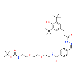 ChemSpider 2D Image | 2-Methyl-2-propanyl (2-{2-[2-({4-[(Z)-({3-[4-hydroxy-3,5-bis(2-methyl-2-propanyl)phenyl]propanoyl}hydrazono)methyl]benzoyl}amino)ethoxy]ethoxy}ethyl)carbamate | C36H54N4O7
