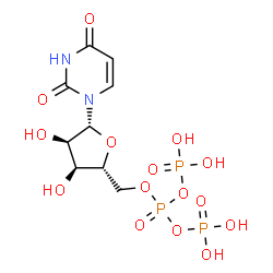 ChemSpider 2D Image | 5'-O-[Bis(phosphonooxy)phosphoryl]uridine | C9H15N2O15P3