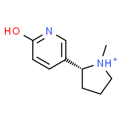 ChemSpider 2D Image | (R)-6-hydroxynicotinium | C10H15N2O