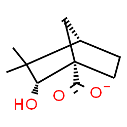 ChemSpider 2D Image | (1S,2R,4S)-2-Hydroxy-3,3-dimethylbicyclo[2.2.1]heptane-1-carboxylate | C10H15O3