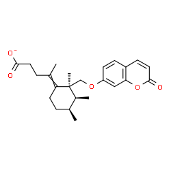 ChemSpider 2D Image | 4-[(2S,3S,4S)-2,3,4-Trimethyl-2-{[(2-oxo-2H-chromen-7-yl)oxy]methyl}cyclohexylidene]pentanoate | C24H29O5