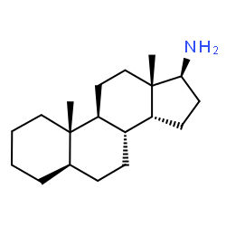 ChemSpider 2D Image | (5alpha,14beta,17beta)-Androstan-17-amine | C19H33N