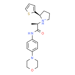 ChemSpider 2D Image | (2R)-1-[(2R)-1-{[4-(4-Morpholinyl)phenyl]amino}-1-oxo-2-propanyl]-2-(2-thienyl)pyrrolidinium | C21H28N3O2S