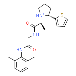 ChemSpider 2D Image | N-(2,6-Dimethylphenyl)-N~2~-{(2S)-2-[(2R)-2-(2-thienyl)-1-pyrrolidiniumyl]propanoyl}glycinamide | C21H28N3O2S