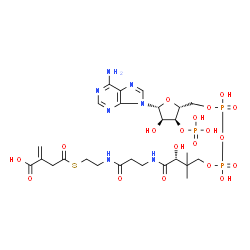 ChemSpider 2D Image | itaconyl-CoA | C26H40N7O19P3S