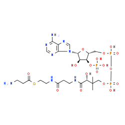 ChemSpider 2D Image | beta-alanyl-CoA | C24H41N8O17P3S
