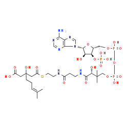 ChemSpider 2D Image | 3-Hydroxy-3-(4-methylpent-3-en-1-yl)glutaryl-CoA | C32H52N7O20P3S