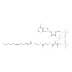 ChemSpider 2D Image | (2-trans,6-cis)-dodeca-2,6-dienoyl-CoA | C33H54N7O17P3S