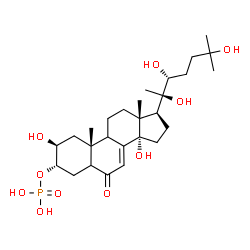 ChemSpider 2D Image | (2beta,3alpha,9xi,22R)-2,14,20,22,25-Pentahydroxy-6-oxocholest-7-en-3-yl dihydrogen phosphate | C27H45O10P