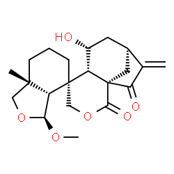 ChemSpider 2D Image | (1'S,3S,3aR,4R,6'S,7'R,7aR,9'S)-7'-Hydroxy-3-methoxy-7a-methyl-10'-methylenehexahydro-1H,11'H-spiro[2-benzofuran-4,5'-[3]oxatricyclo[7.2.1.0~1,6~]dodecane]-2',11'-dione | C21H28O6