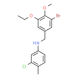 ChemSpider 2D Image | N-(3-Bromo-5-ethoxy-4-methoxybenzyl)-3-chloro-4-methylaniline | C17H19BrClNO2
