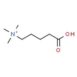 ChemSpider 2D Image | 4-Carboxy-N,N,N-trimethyl-1-butanaminium | C8H18NO2