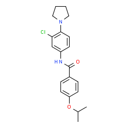 ChemSpider 2D Image | N-[3-Chloro-4-(1-pyrrolidinyl)phenyl]-4-isopropoxybenzamide | C20H23ClN2O2