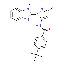 ChemSpider 2D Image | N-[3-Methyl-1-(1-methyl-1H-benzimidazol-2-yl)-1H-pyrazol-5-yl]-4-(2-methyl-2-propanyl)benzamide | C23H25N5O