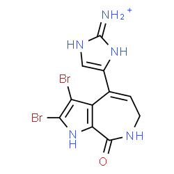 ChemSpider 2D Image | 4-(2,3-Dibromo-8-oxo-1,6,7,8-tetrahydropyrrolo[2,3-c]azepin-4-yl)-1H-imidazol-2-aminium | C11H10Br2N5O