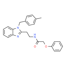 ChemSpider 2D Image | N-{2-[1-(4-Methylbenzyl)-1H-benzimidazol-2-yl]ethyl}-2-phenoxyacetamide | C25H25N3O2