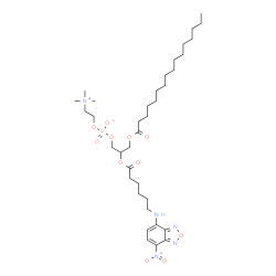 ChemSpider 2D Image | 2-({6-[(7-Nitro-2,1,3-benzoxadiazol-4-yl)amino]hexanoyl}oxy)-3-(palmitoyloxy)propyl 2-(trimethylammonio)ethyl phosphate | C36H62N5O11P