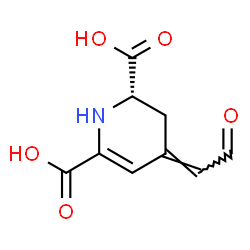 ChemSpider 2D Image | (2S,4E)-4-(2-Oxoethylidene)-1,2,3,4-tetrahydro-2,6-pyridinedicarboxylic acid | C9H9NO5