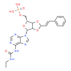 ChemSpider 2D Image | N-(Ethylcarbamoyl)-9-{2,3-O-[(1S,2E)-3-phenyl-2-propen-1-ylidene]-5-O-phosphono-beta-D-glycero-pentofuranosyl}-9H-purin-6-amine | C22H25N6O8P