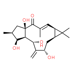 ChemSpider 2D Image | (1aR,2E,4aR,6S,7S,7aR,8S,10S,11aS)-4a,7,8,10-Tetrahydroxy-1,1,3,6-tetramethyl-9-methylene-1,1a,4a,5,6,7,7a,8,9,10,11,11a-dodecahydro-4H-cyclopenta[a]cyclopropa[f][11]annulen-4-one | C20H30O5