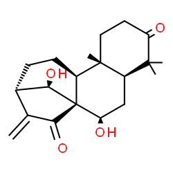 ChemSpider 2D Image | (5beta,7alpha,9beta,10alpha,13alpha,14S)-7,14-Dihydroxykaur-16-ene-3,15-dione | C20H28O4