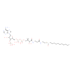 ChemSpider 2D Image | S-{1-[(2R,3R,5R)-5-(6-Amino-9H-purin-9-yl)-4-hydroxy-3-(phosphonooxy)tetrahydro-2-furanyl]-3,5,9-trihydroxy-8,8-dimethyl-3,5-dioxido-10,14-dioxo-2,4,6-trioxa-11,15-diaza-3lambda~5~,5lambda~5~-diphosph
aheptadecan-17-yl} (1-~14~C)dodecanethioate (non-preferred name) | C3214CH58N7O17P3S