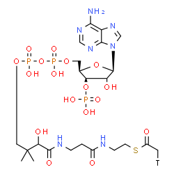 ChemSpider 2D Image | S-{1-[(2R,3R,5R)-5-(6-Amino-9H-purin-9-yl)-4-hydroxy-3-(phosphonooxy)tetrahydro-2-furanyl]-3,5,9-trihydroxy-8,8-dimethyl-3,5-dioxido-10,14-dioxo-2,4,6-trioxa-11,15-diaza-3lambda~5~,5lambda~5~-diphosph
aheptadecan-17-yl} (2-~3~H_1_)ethanethioate (non-preferred name) | C23H37TN7O17P3S