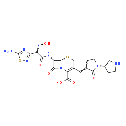 ChemSpider 2D Image | (6S,7S)-7-{[(2Z)-2-(5-Amino-1,2,4-thiadiazol-3-yl)-2-(hydroxyimino)acetyl]amino}-8-oxo-3-{(E)-[(3'S)-2-oxo-1,3'-bipyrrolidin-3-ylidene]methyl}-5-thia-1-azabicyclo[4.2.0]oct-2-ene-2-carboxylic acid | C20H22N8O6S2