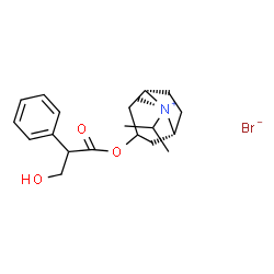 ChemSpider 2D Image | (8-anti)-3-[(3-Hydroxy-2-phenylpropanoyl)oxy]-8-isopropyl-8-methyl-8-azoniabicyclo[3.2.1]octane bromide | C20H30BrNO3