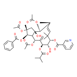 ChemSpider 2D Image | (2R,3R,4R,6S,7S,8S,10E,12S,13S,13aR)-2,4,13-Triacetoxy-3-(benzoyloxy)-7,13a-dihydroxy-6-(isobutyryloxy)-2,9,9,12-tetramethyl-5-methylene-2,3,3a,4,5,6,7,8,9,12,13,13a-dodecahydro-1H-cyclopenta[12]annul
en-8-yl nicotinate | C43H53NO14