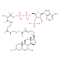 ChemSpider 2D Image | S-{(9R)-1-[(2R,3S,4R,5R)-5-(6-Amino-9H-purin-9-yl)-4-hydroxy-3-(phosphonooxy)tetrahydro-2-furanyl]-3,5,9-trihydroxy-8,8-dimethyl-3,5-dioxido-10,14-dioxo-2,4,6-trioxa-11,15-diaza-3lambda~5~,5lambda~5~-
diphosphaheptadecan-17-yl} (2E,6R)-6-[(3R,5S,7R,8R,9S,10S,13R,14S,17R)-3,7-dihydroxy-10,13-dimethylhexadecahydro-1H-cyclopenta[a]phenanthren-17-yl]-2-methyl-2-heptenethioate (non-preferred name) | C48H78N7O19P3S