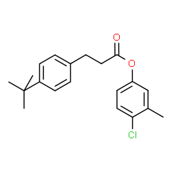 ChemSpider 2D Image | 4-Chloro-3-methylphenyl 3-(4-tert-butylphenyl)propanoate | C20H23ClO2