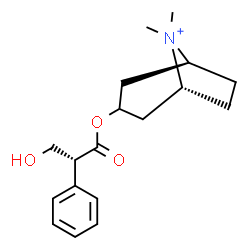 ChemSpider 2D Image | (1R,5S)-3-{[(2R)-3-Hydroxy-2-phenylpropanoyl]oxy}-8,8-dimethyl-8-azoniabicyclo[3.2.1]octane | C18H26NO3