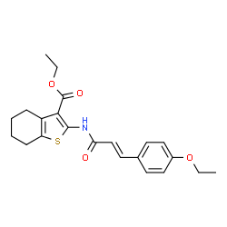 ChemSpider 2D Image | Ethyl 2-{[(2E)-3-(4-ethoxyphenyl)-2-propenoyl]amino}-4,5,6,7-tetrahydro-1-benzothiophene-3-carboxylate | C22H25NO4S